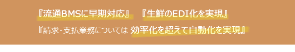 『流通BMSに早期対応』『生鮮のEDI化を実現』『請求・支払業務については効率化を超えて自動化を実現』